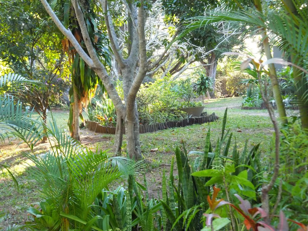 St Lucia Kingfisher Lodge Екстериор снимка